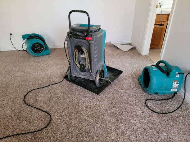 Best Fire Damage Restoration  in Jonesboro, GA