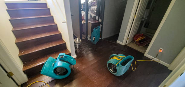Best Water damage cleanup near me  in Jonesboro, GA