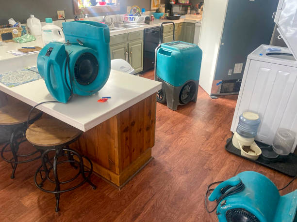 Best Local water damage restoration  in Jonesboro, GA