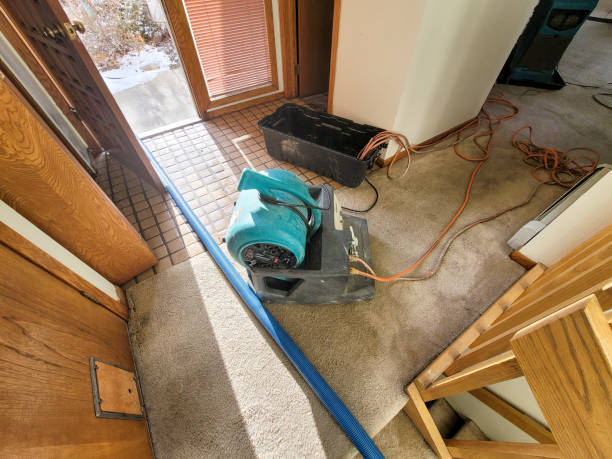 Best Sewage cleanup and water damage restoration  in Jonesboro, GA