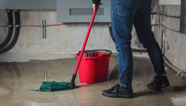 Best Flooded house restoration  in Jonesboro, GA