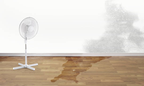 Best Basement water damage restoration  in Jonesboro, GA