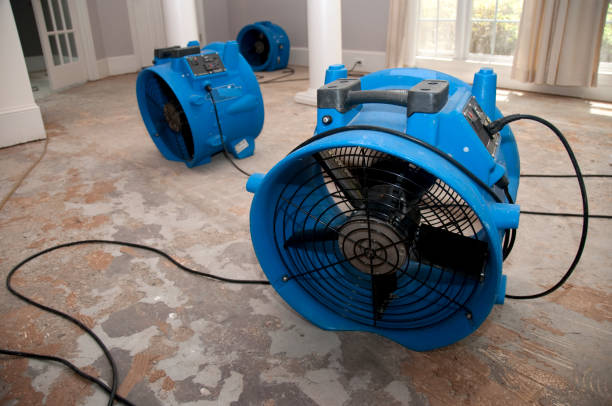 Best Commercial water damage restoration  in Jonesboro, GA