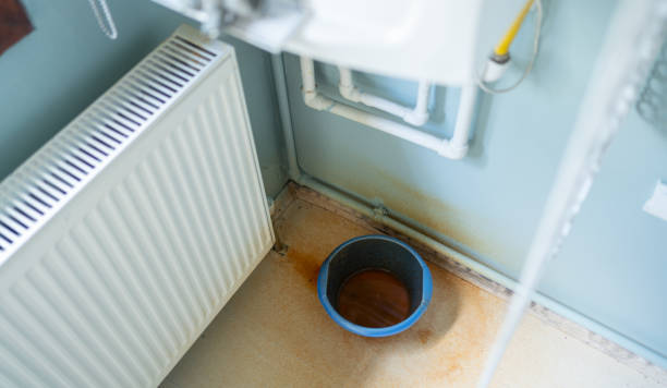 Best Professional water damage repair  in Jonesboro, GA