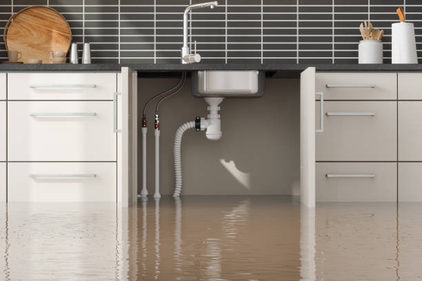 Best Ceiling water damage repair  in Jonesboro, GA