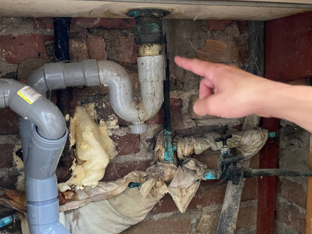 Best Water damage cleanup near me  in Jonesboro, GA