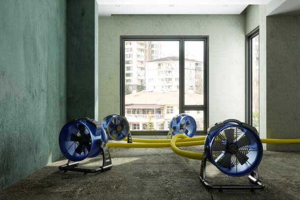 Best Carpet water damage restoration  in Jonesboro, GA