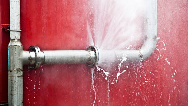 Best Mold removal after water damage  in Jonesboro, GA